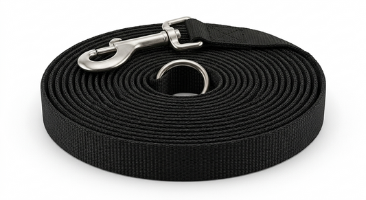 Laisse pour chien 9m longe noire