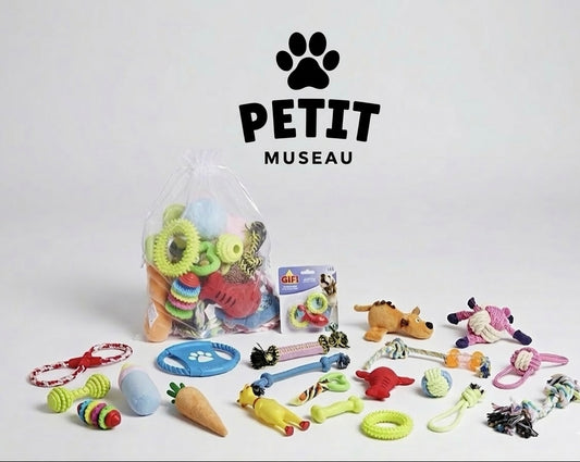 Jouets pour chien x18