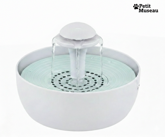 Fontaine à Eau Fraîche & Filtrée – Petit Museau